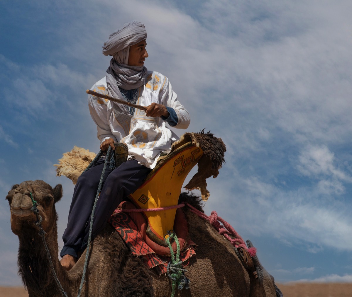 Camel Rider - Morocco
