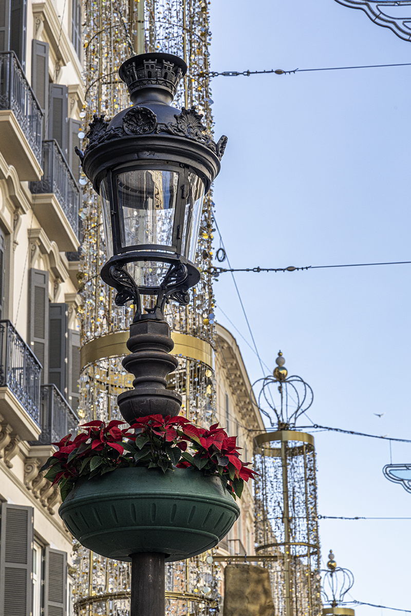 Malaga, Spain - Christmastime