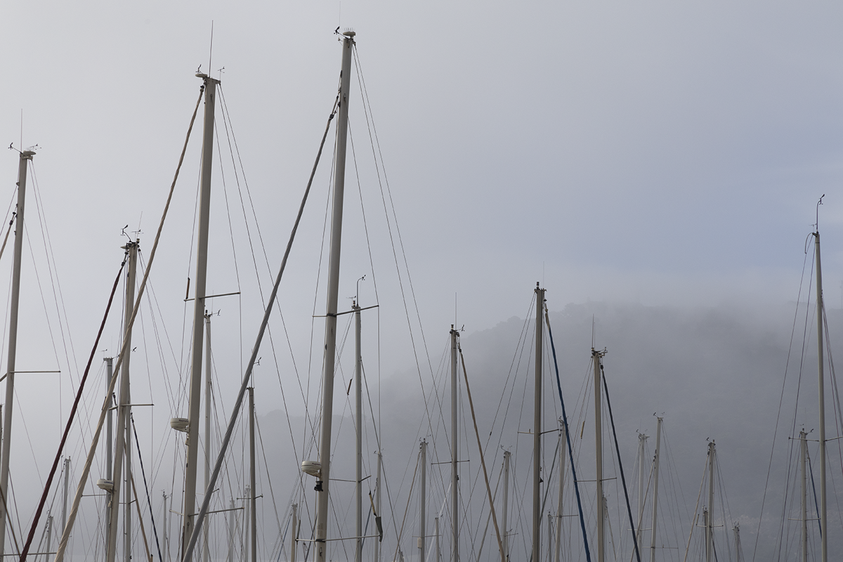 Sails in Fog