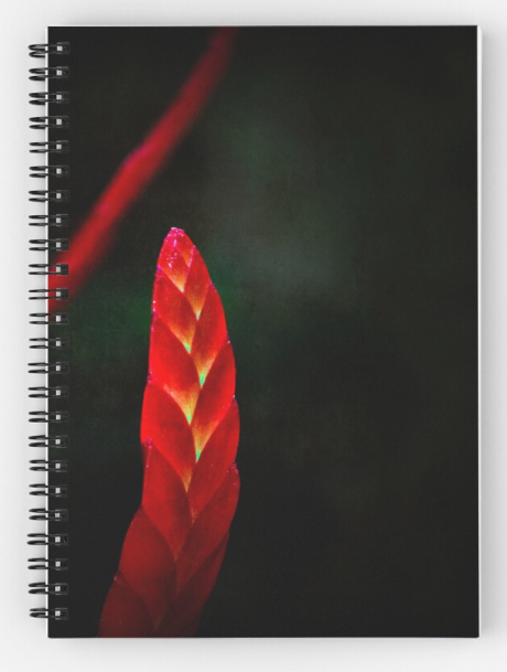 Spiral Notebook - "The Flaming Sword"